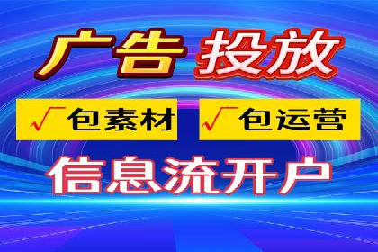 SEM优化技巧：实战案例深度剖析
