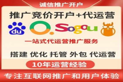 SEM托管公司案例分析：实战技巧全解析